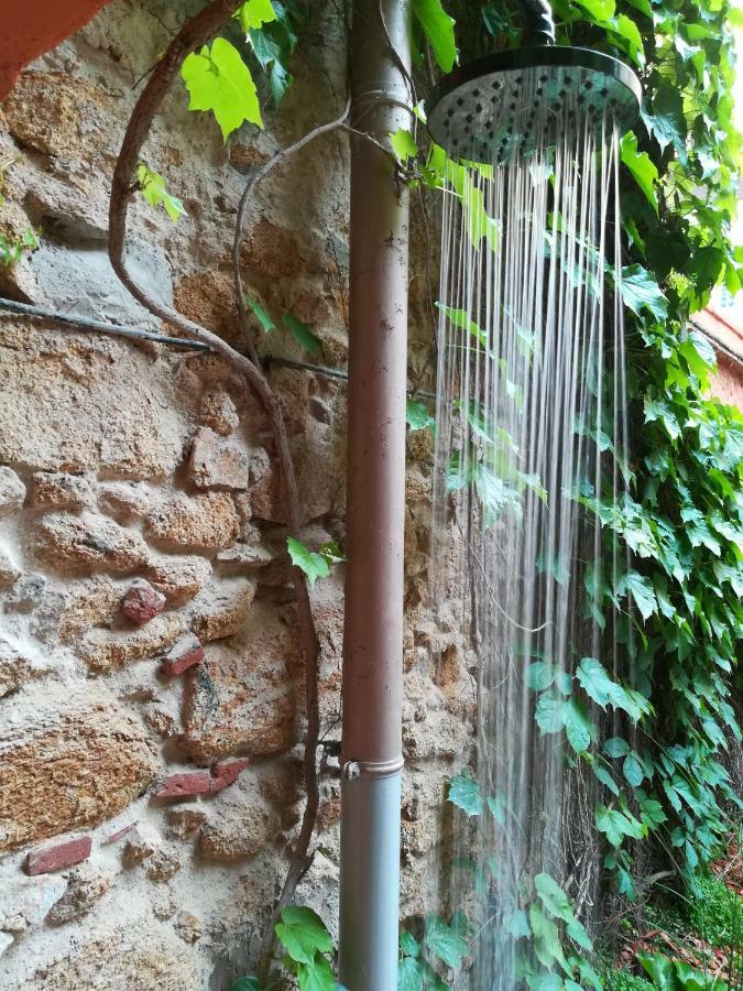 Foraster * Palamos